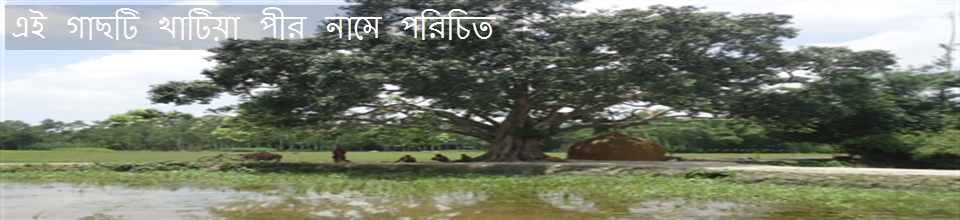 ১৫০ বছরের বট গাছ