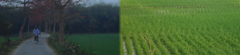 তবকপুর ইউনিয়নের দৃর্শ্য