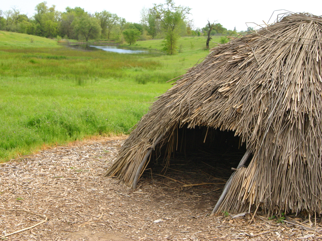 ফটো গ্যালারী