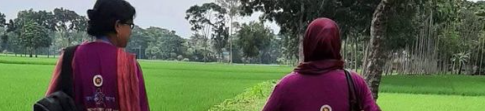 ব্যানার