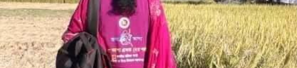 ব্যানার