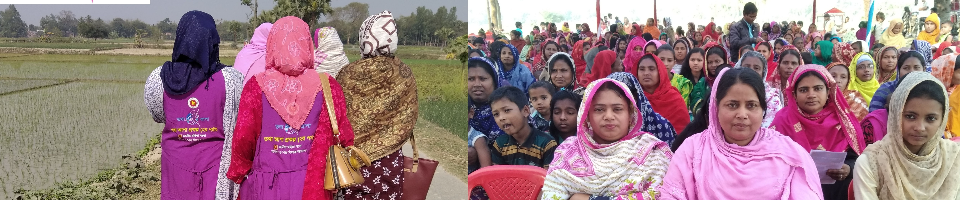 ব্যানার