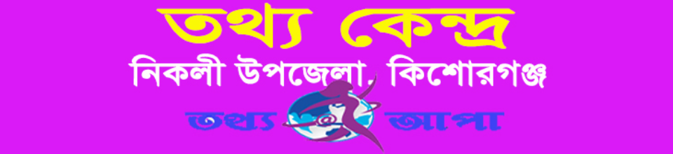 তথ্যকেন্দ্র নিকলী