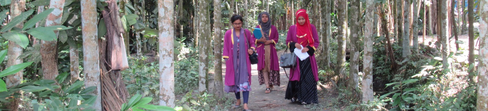 মাঠ পরিদর্শন
