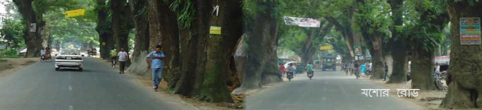 ব্যানার