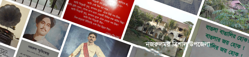 চির যৌবনের দূত কবি নজরুলের কৈশোর কেটেছে ত্রিশালের এই বাড়িতে