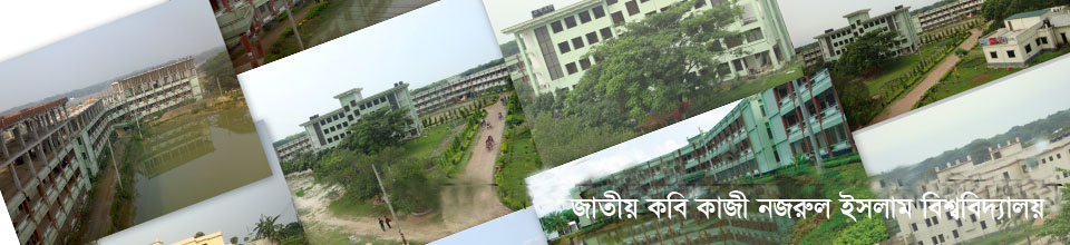 জাতীয় কবি কাজী নজরুল ইসলাম বিশ্ববিদ্যালয়