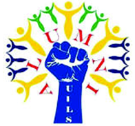 এলামনাই সেল