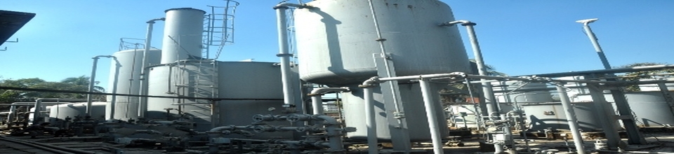 টিএসপিসিএল ৩