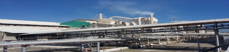 টিএসপি কমপ্লেক্স লিমিটেড