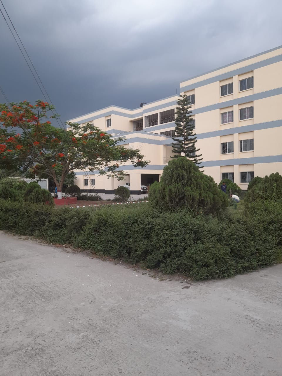 টিটিসি পঞ্চগড়