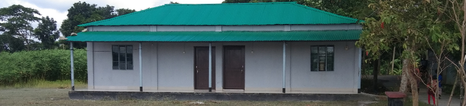 সিংহেরকাঠী পল্টন