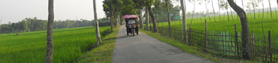 ব্যানার