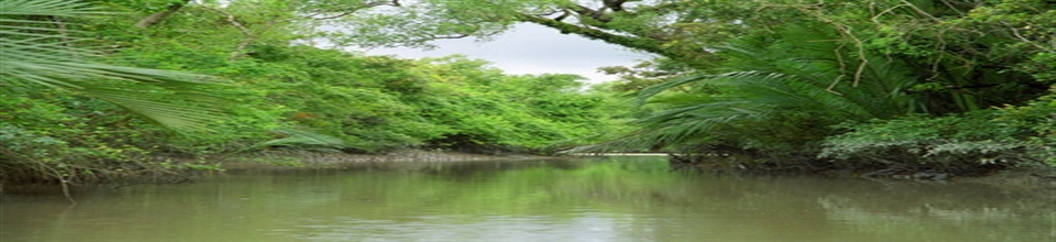 ব্যানার