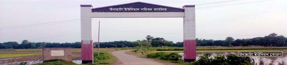 ব্যানার