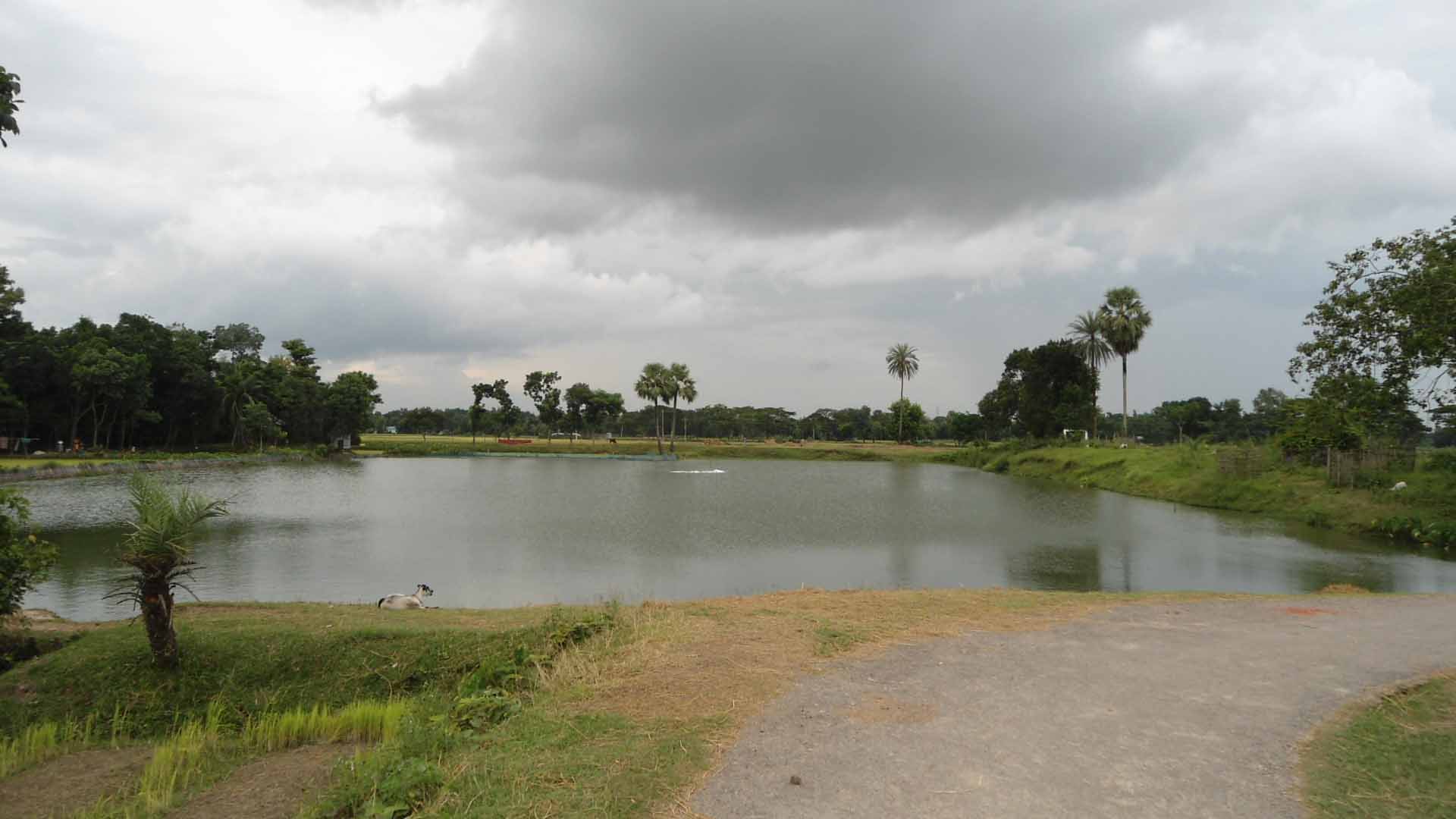 ফটো গ্যালারী