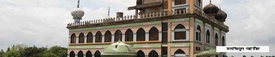 ব্যানার