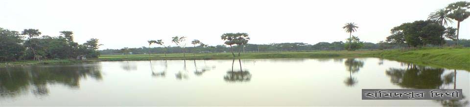 ব্যানার