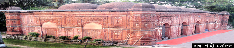 বাঘা শাহী মসজিদ