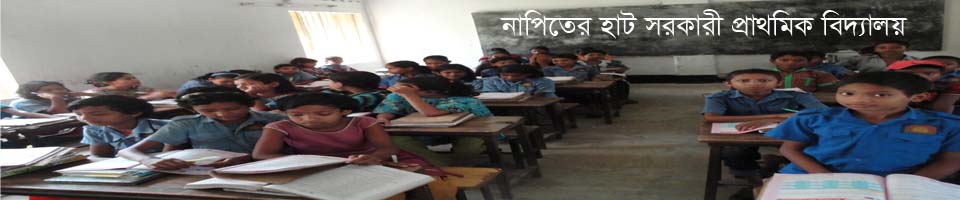 নাপিতের হাট সরকারী প্রাথমিক বিদ্যালয়ের ছাত্র ছাত্রীদের একাংশ