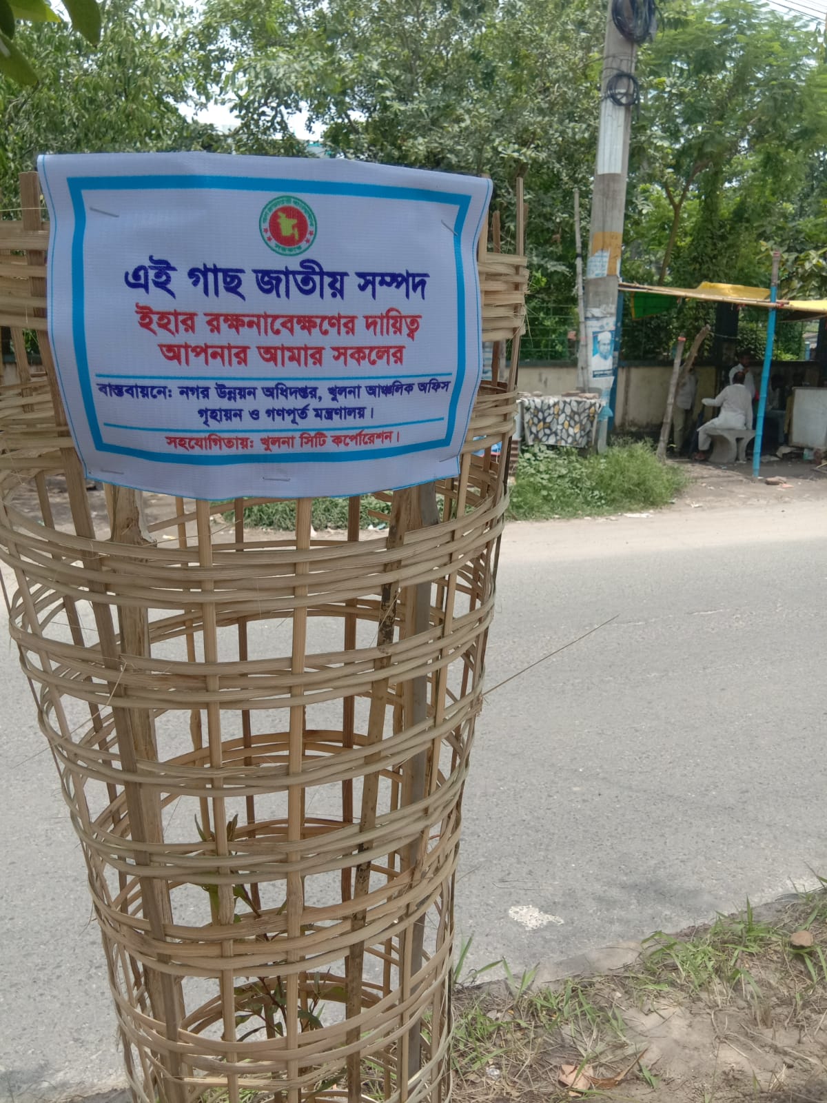 বৃক্ষরোপণ কর্মসূচী