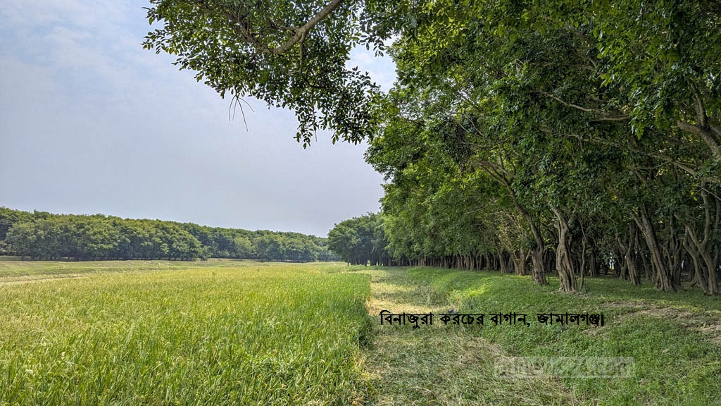প্রাকৃতিক দৃশ্যাবলী, জামালগঞ্জ, সুনামগঞ্জ।