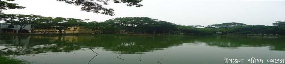 উপজেলা পরিষদ