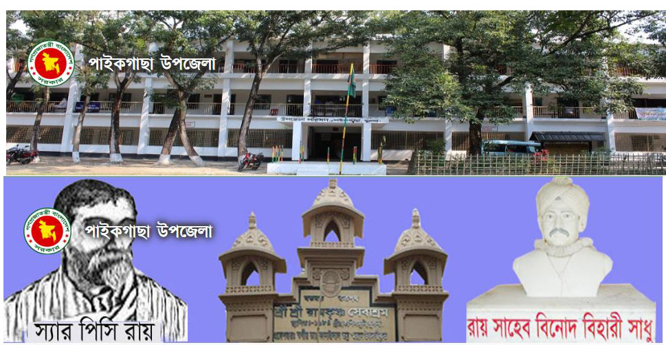 উপজেলা সম্পর্কে