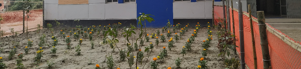 আইসিটি ট্রেনিং