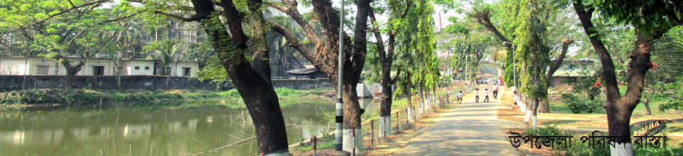 উপজেলা পরিষদ রাস্তা