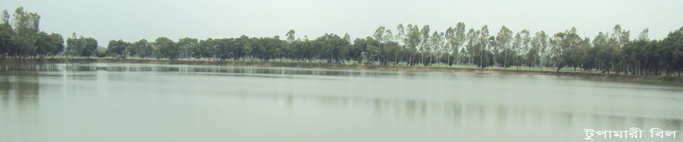 টুপামারী বিল