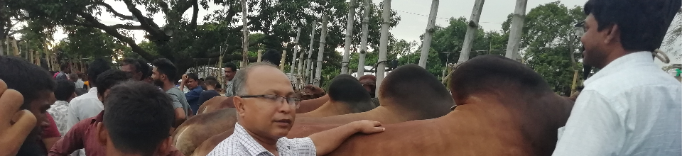 কোরবানির গরুর হাট পরিদর্শন