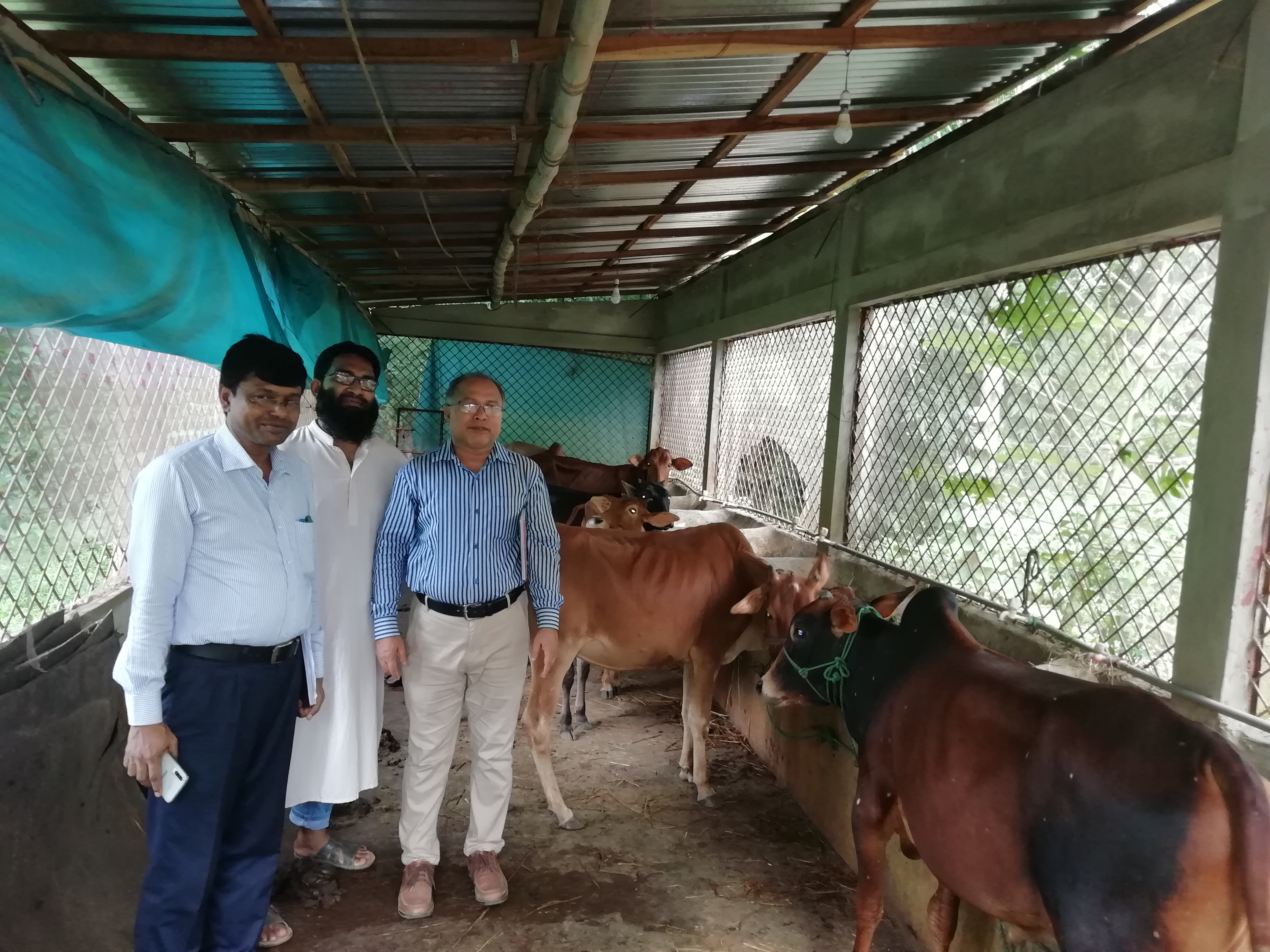 Fattening khamar west Joypur