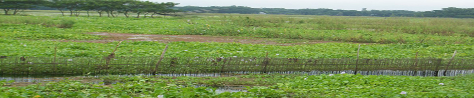 বহরী ঝিল