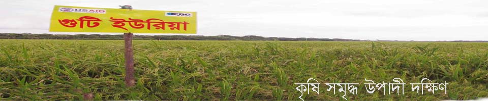 কৃষি সমৃদ্ধ