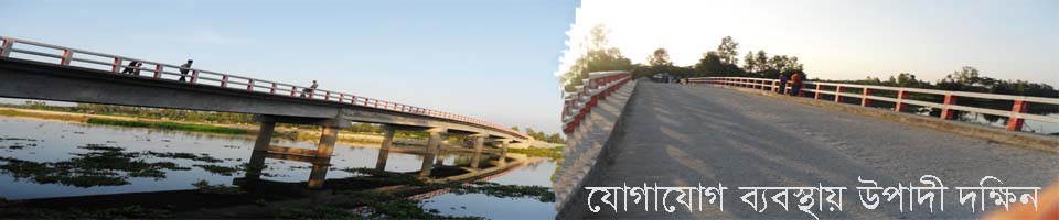 যোগাযোগ ব্যবস্থায় উপাদী দক্ষিন