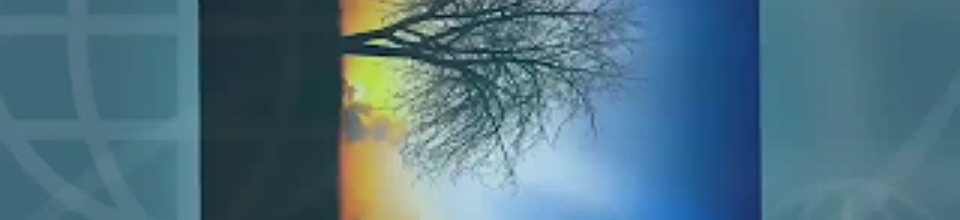 সাধারণ ছবি