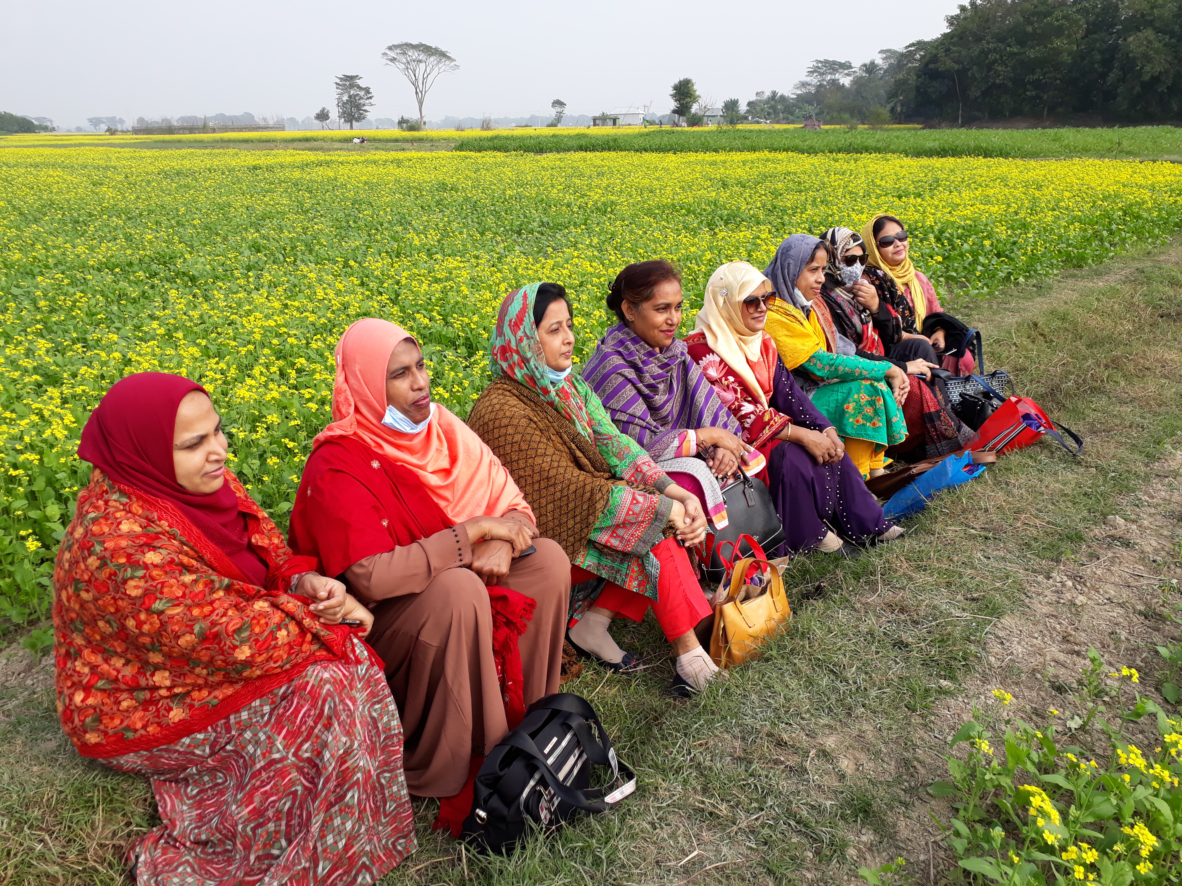 বিদ্যালয় পরিদর্শন