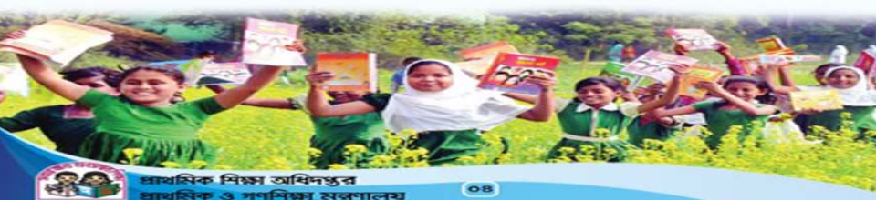 ব্যানার- ২