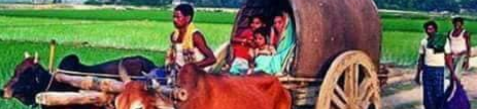 গ্রাম বাংলার ছবি-1