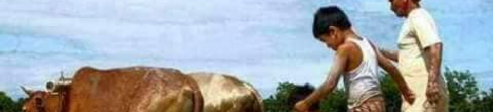 গ্রাম বাংলার ছবি-3
