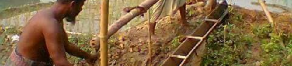 গ্রাম বাংলার ছবি-6