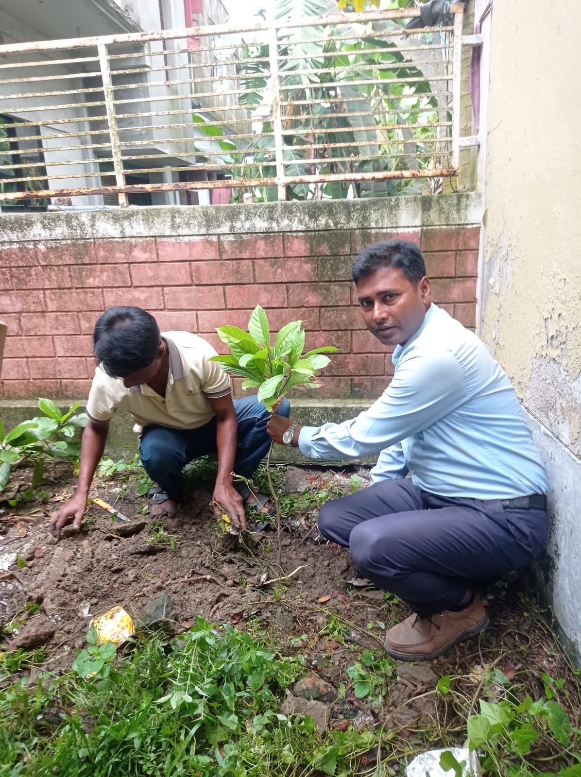 বৃক্ষরোপন জুন ২০২৬ ইউপিইটিসি, ফুলবাড়ী, দিনাজপুর