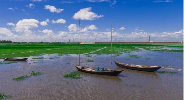 গ্যালারী