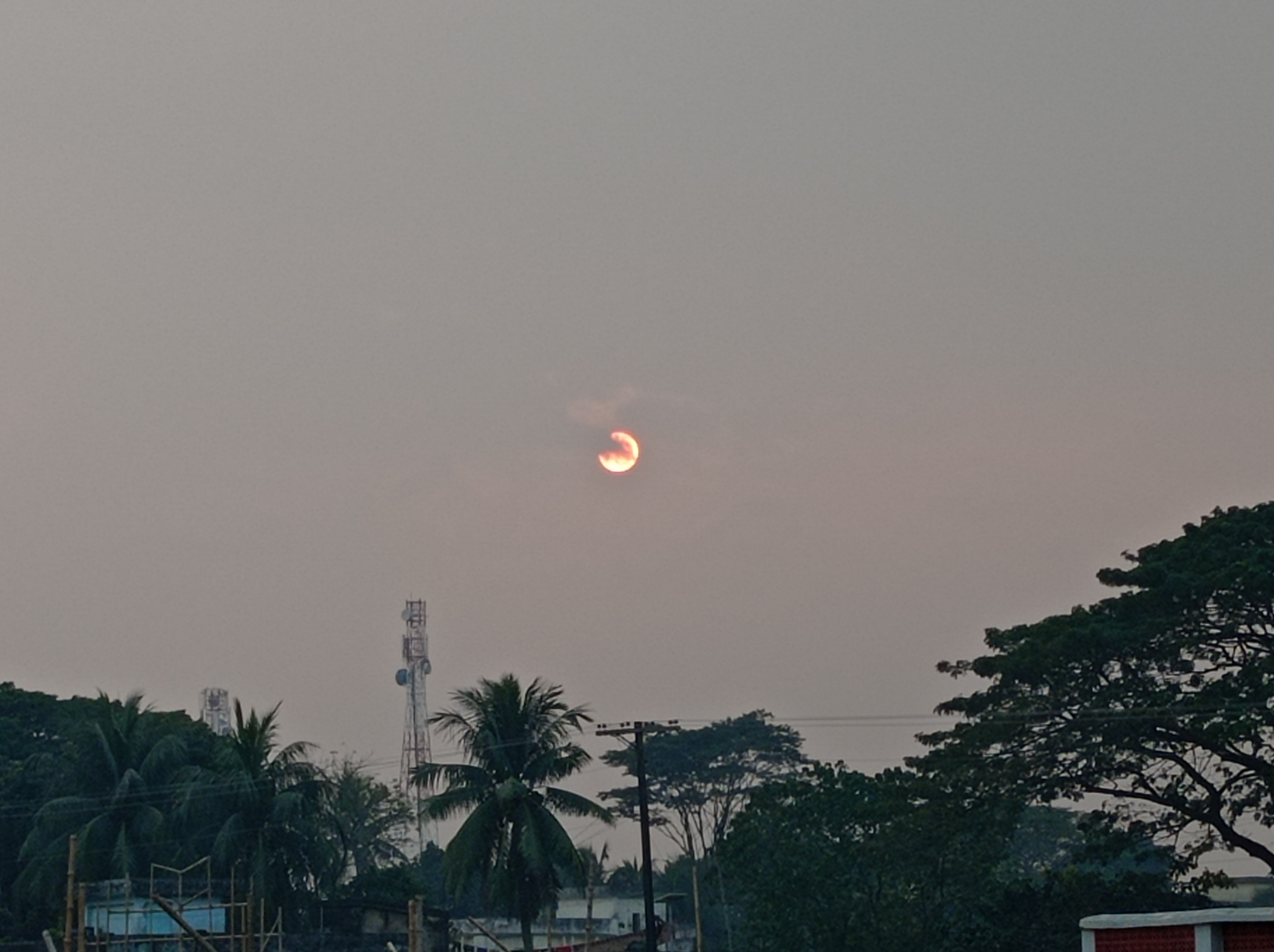 ওয়েব পোর্টাল বিষয়ে প্রশক্ষন
