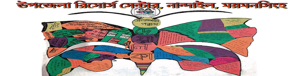 দেয়ালিকা