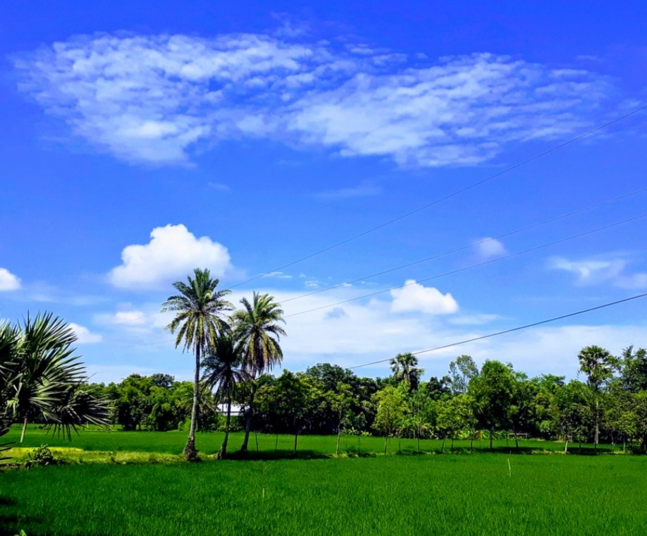 ব্যানার