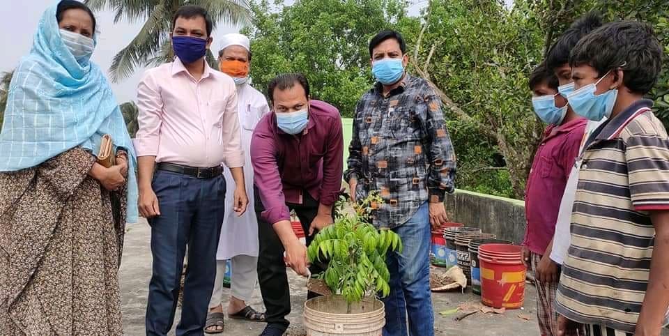 বৃক্ষ রোপণ