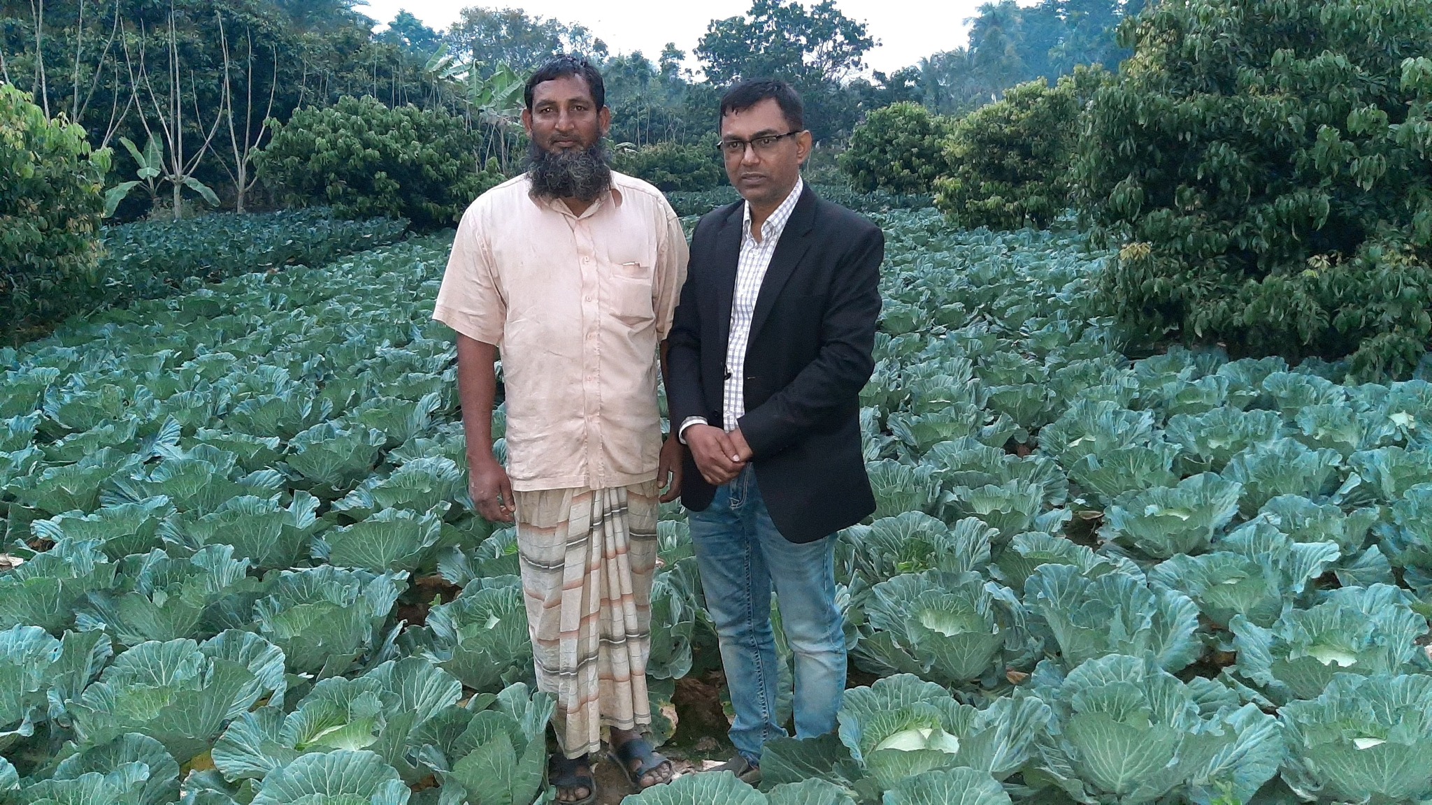 বিন্যাবাড়ী কেএসএস