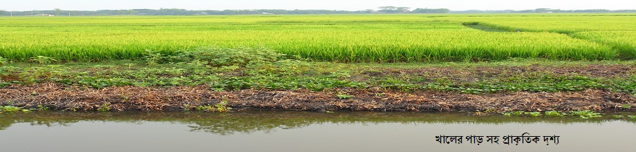 প্রাকৃতিক দৃশ্য